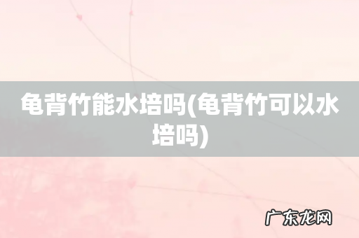 龟背竹可以水培吗 龟背竹能水培吗