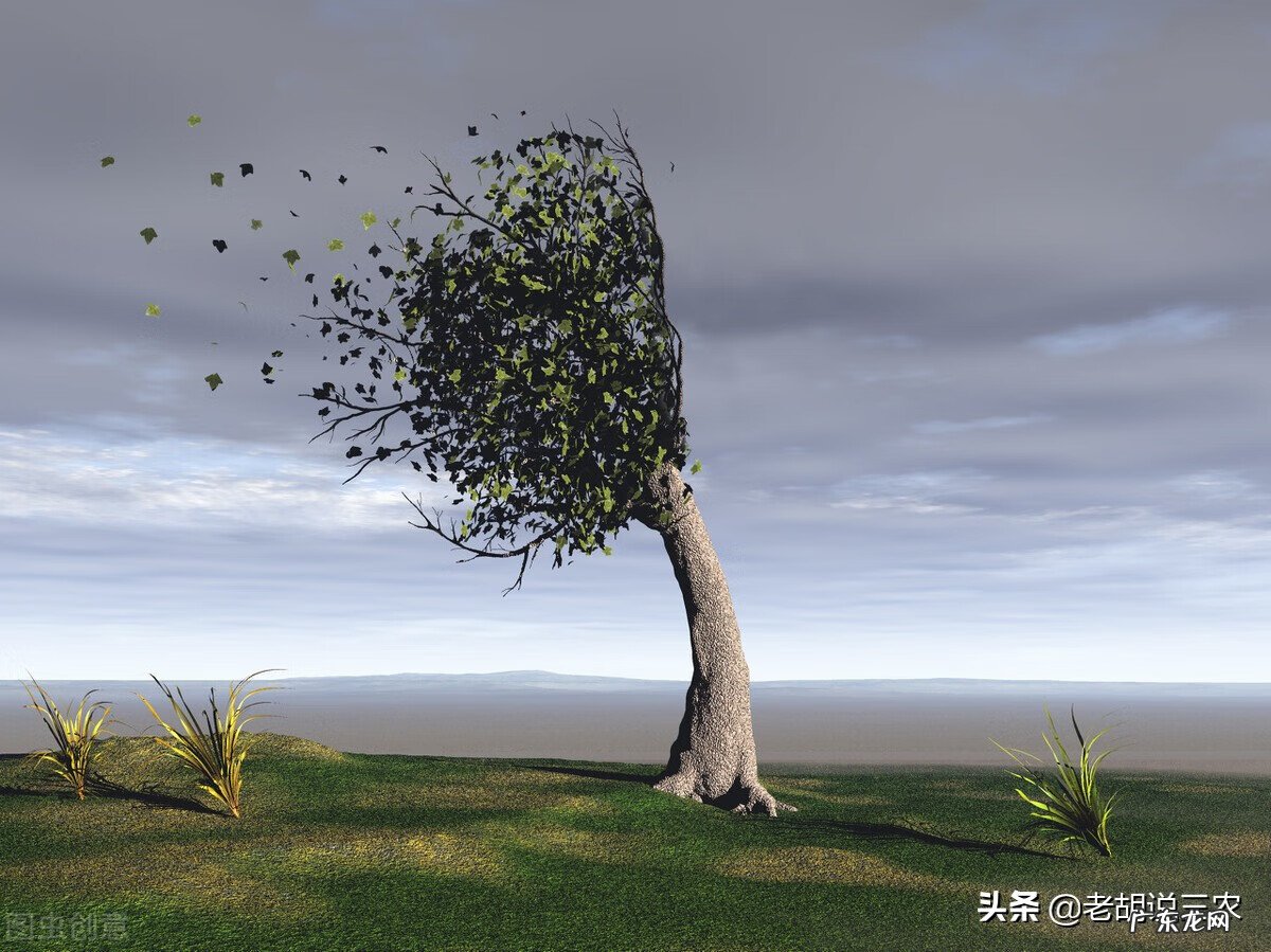 房子西北方有坑怎么化解 房宅西北角有粪坑好吗