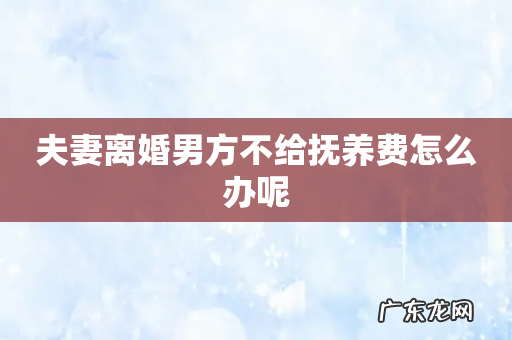 夫妻离婚男方不给抚养费怎么办呢