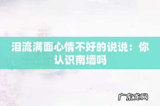 泪流满面心情不好的说说:你认识南墙吗