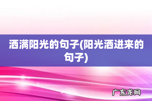 阳光洒进来的句子 洒满阳光的句子