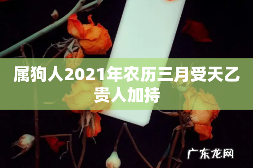 属狗人2021年农历三月受天乙贵人加持