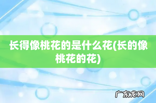 长的像桃花的花 长得像桃花的是什么花