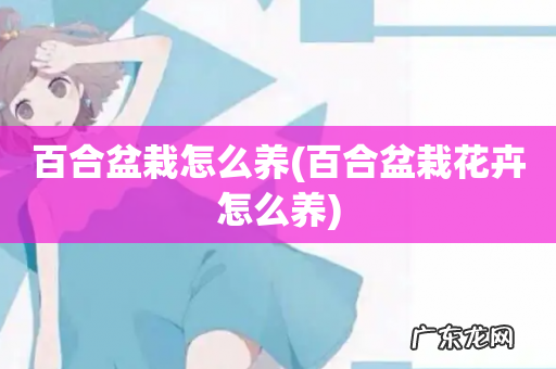 百合盆栽花卉怎么养 百合盆栽怎么养