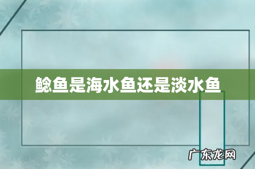 鲶鱼是海水鱼还是淡水鱼