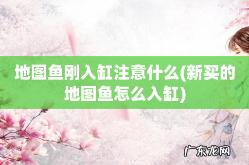 新买的地图鱼怎么入缸 地图鱼刚入缸注意什么