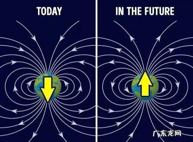 30个有趣的科学冷知识手抄报内容