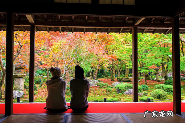 秋燥怎么办 秋燥是什么意思