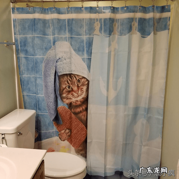 风水帘的形状有讲究吗 浴帘条纹的风水好不