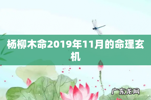 杨柳木命2019年11月的命理玄机