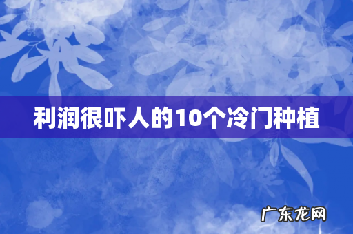利润很吓人的10个冷门种植