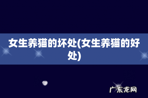 女生养猫的好处 女生养猫的坏处