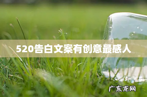 520告白文案有创意最感人
