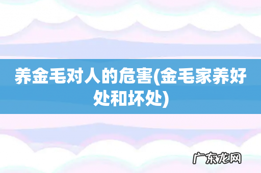金毛家养好处和坏处 养金毛对人的危害