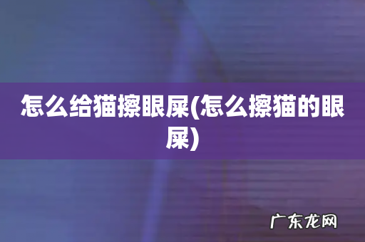怎么擦猫的眼屎 怎么给猫擦眼屎