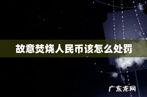 故意焚烧人民币该怎么处罚