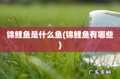 锦鲤鱼有哪些 锦鲤鱼是什么鱼
