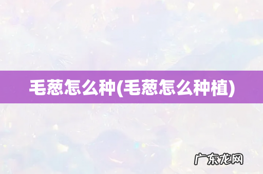 毛葱怎么种植 毛葱怎么种