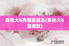 奔驰大G是哪款 奔驰大G有哪些版本