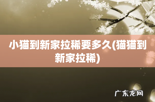 猫猫到新家拉稀 小猫到新家拉稀要多久