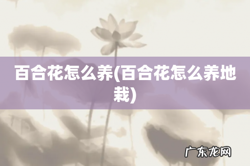 百合花怎么养地栽 百合花怎么养