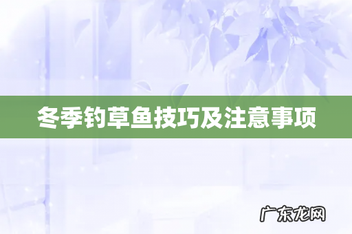 冬季钓草鱼技巧及注意事项
