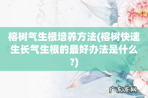 榕树快速生长气生根的最好办法是什么? 榕树气生根培养方法