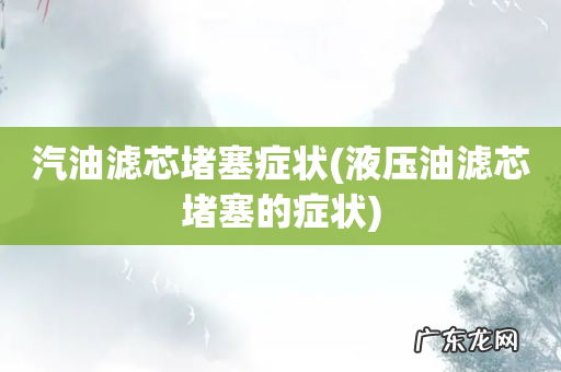液压油滤芯堵塞的症状 汽油滤芯堵塞症状