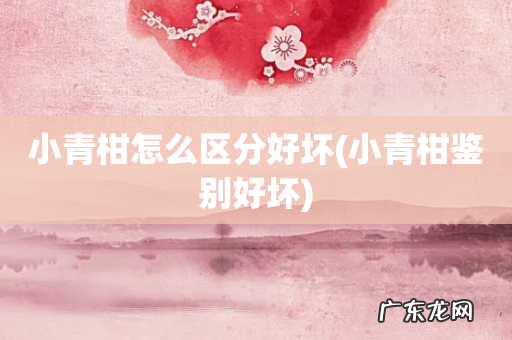 小青柑鉴别好坏 小青柑怎么区分好坏