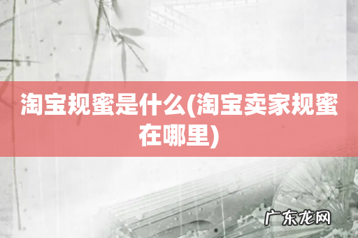 淘宝卖家规蜜在哪里 淘宝规蜜是什么