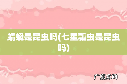 七星瓢虫是昆虫吗 蜻蜓是昆虫吗