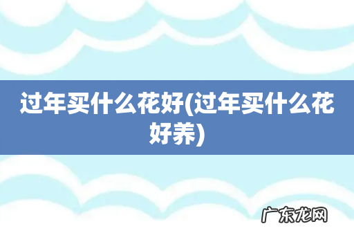 过年买什么花好养 过年买什么花好