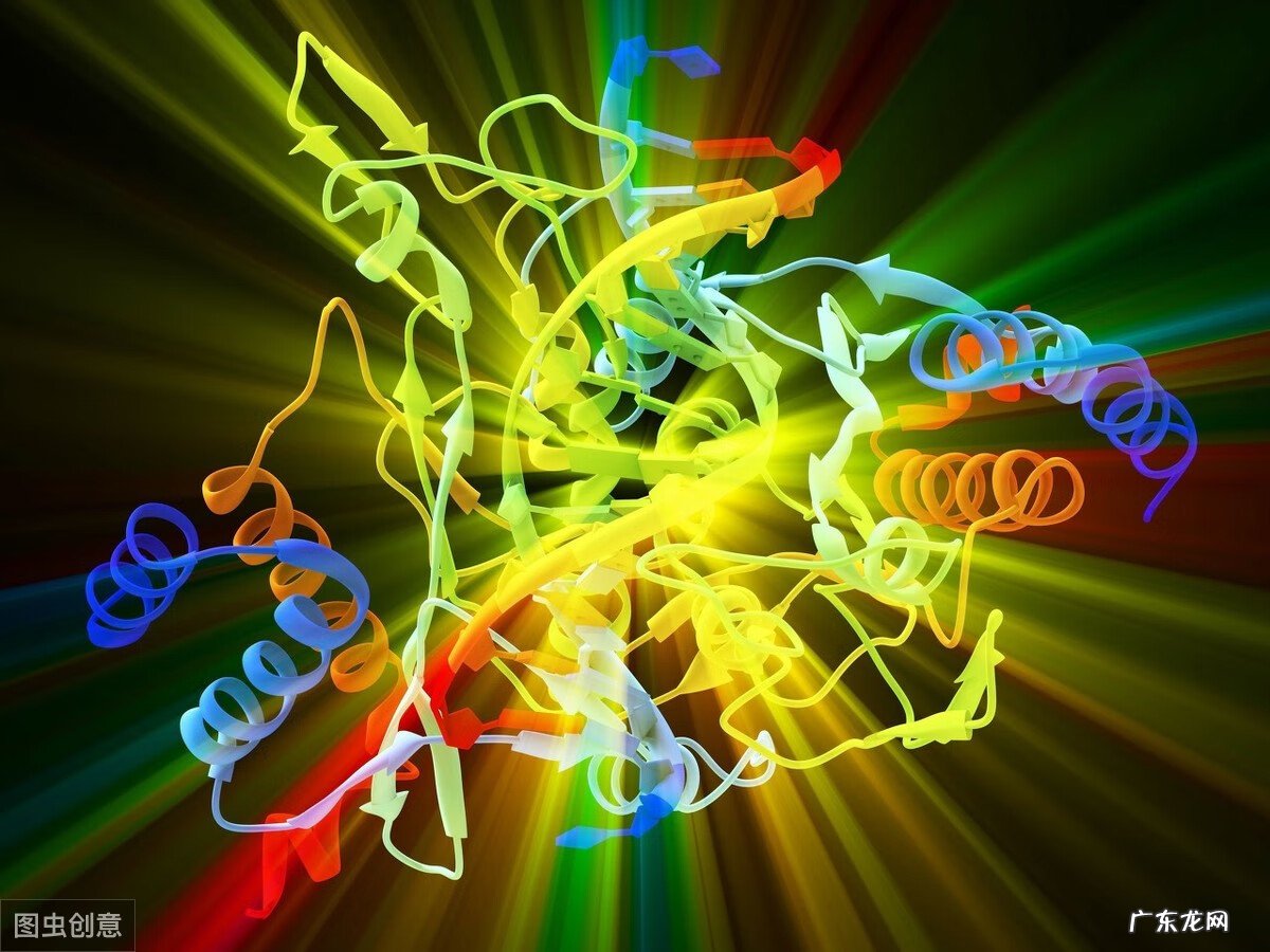 酵素真的能减肥吗 酵素减肥真的有用吗