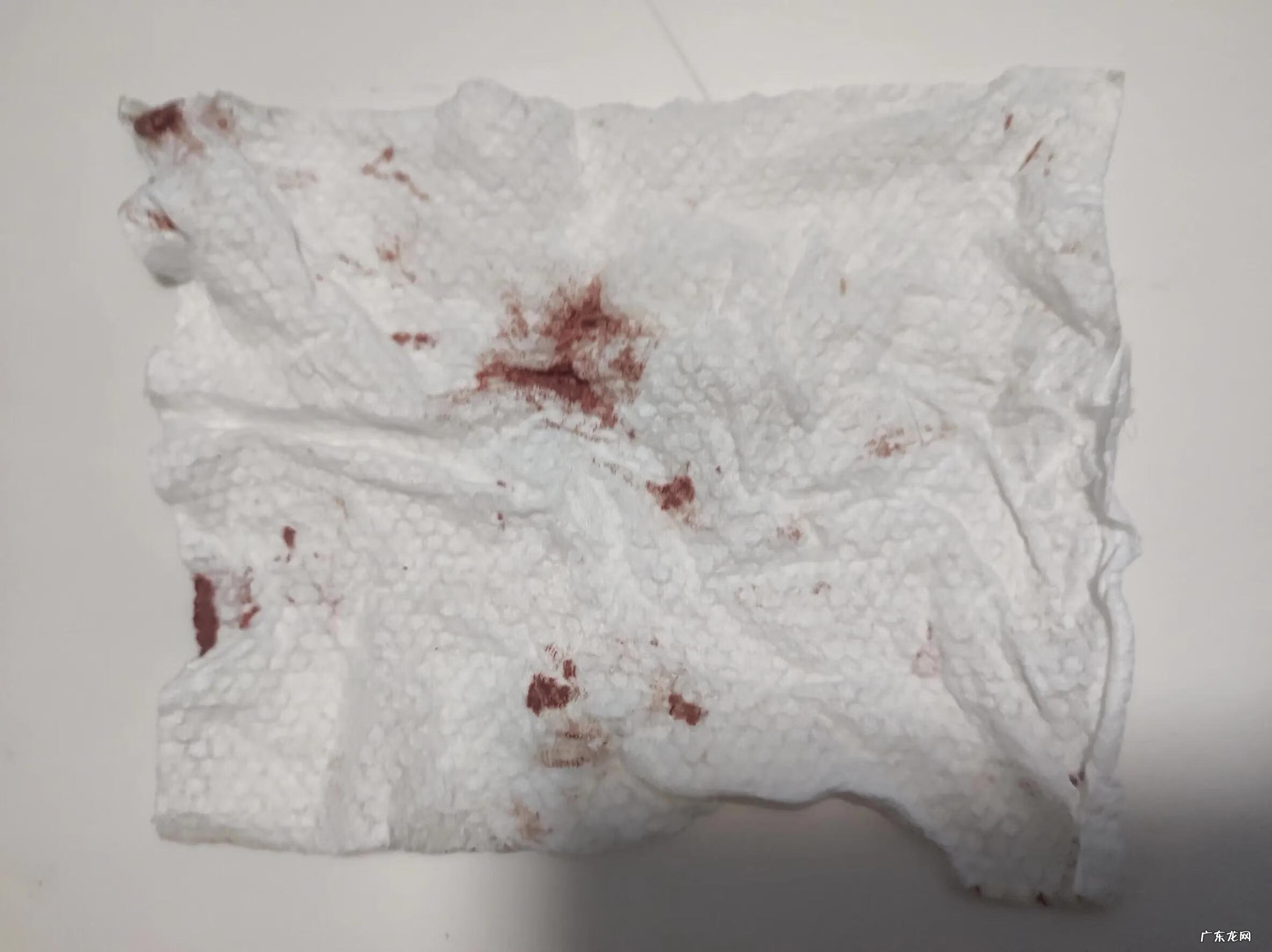 5岁儿童的教育要点 5岁孩子的教育问题