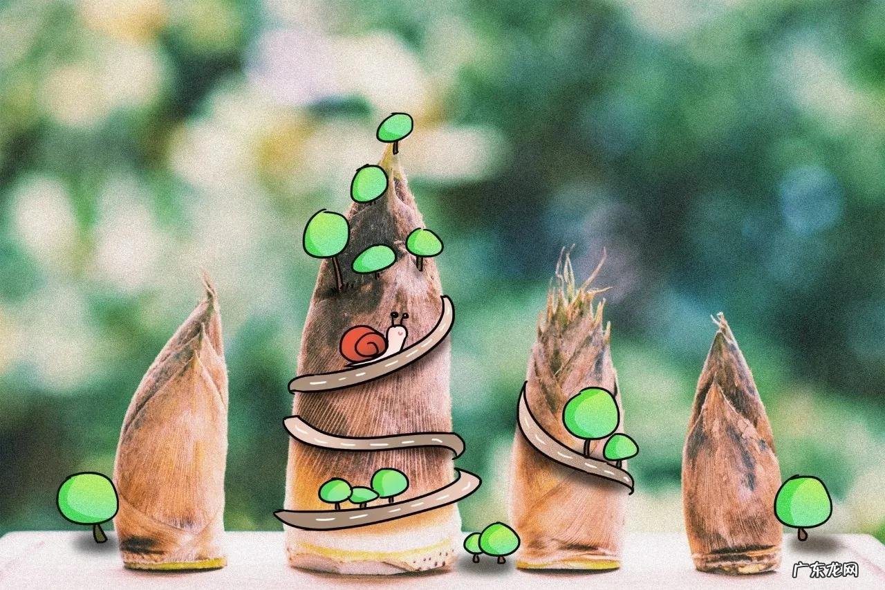 5岁儿童的教育要点 5岁孩子的教育问题