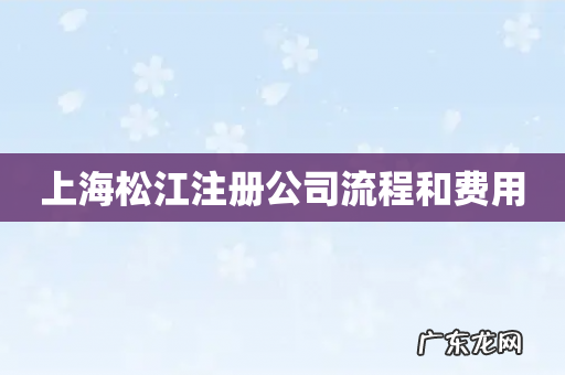 上海松江注册公司流程和费用