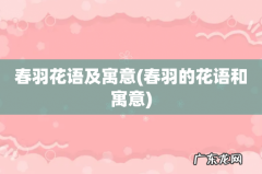 春羽的花语和寓意 春羽花语及寓意