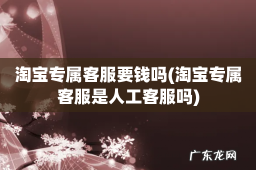 淘宝专属客服是人工客服吗 淘宝专属客服要钱吗