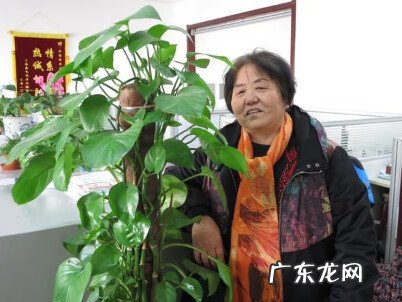 小区周围的环境与风水 老小区楼道图片