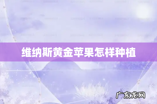 维纳斯黄金苹果怎样种植