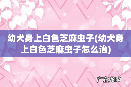 幼犬身上白色芝麻虫子怎么治 幼犬身上白色芝麻虫子
