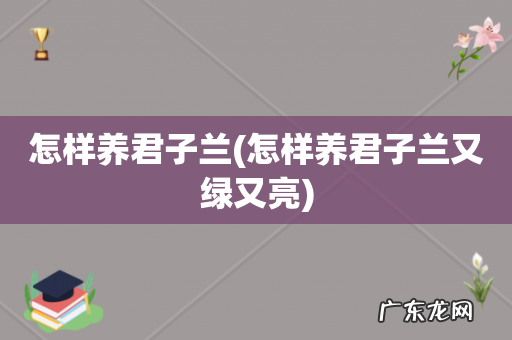 怎样养君子兰又绿又亮 怎样养君子兰