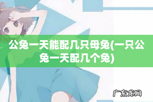 一只公兔一天配几个兔 公兔一天能配几只母兔