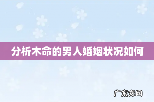 分析木命的男人婚姻状况如何