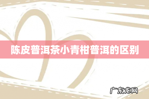 陈皮普洱茶小青柑普洱的区别