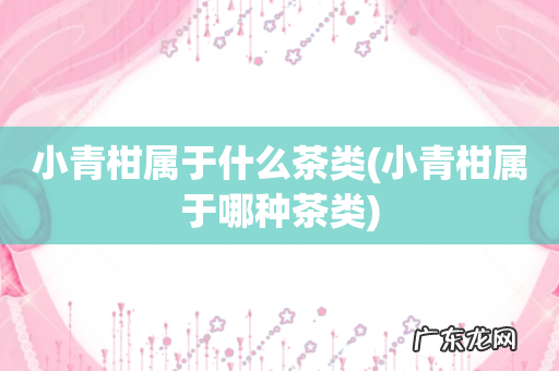 小青柑属于哪种茶类 小青柑属于什么茶类