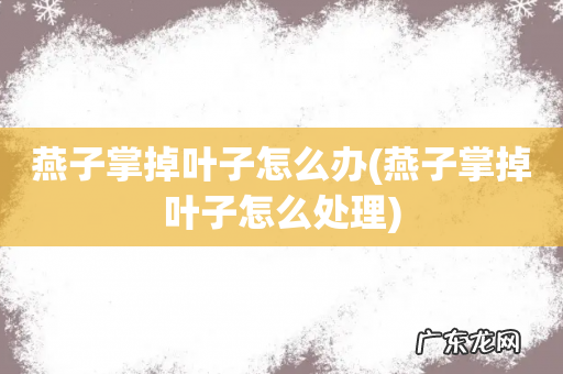 燕子掌掉叶子怎么处理 燕子掌掉叶子怎么办