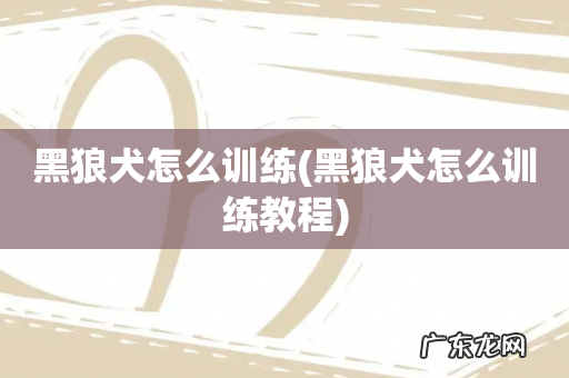 黑狼犬怎么训练教程 黑狼犬怎么训练