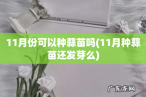11月种蒜苗还发芽么 11月份可以种蒜苗吗