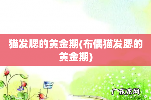 布偶猫发腮的黄金期 猫发腮的黄金期